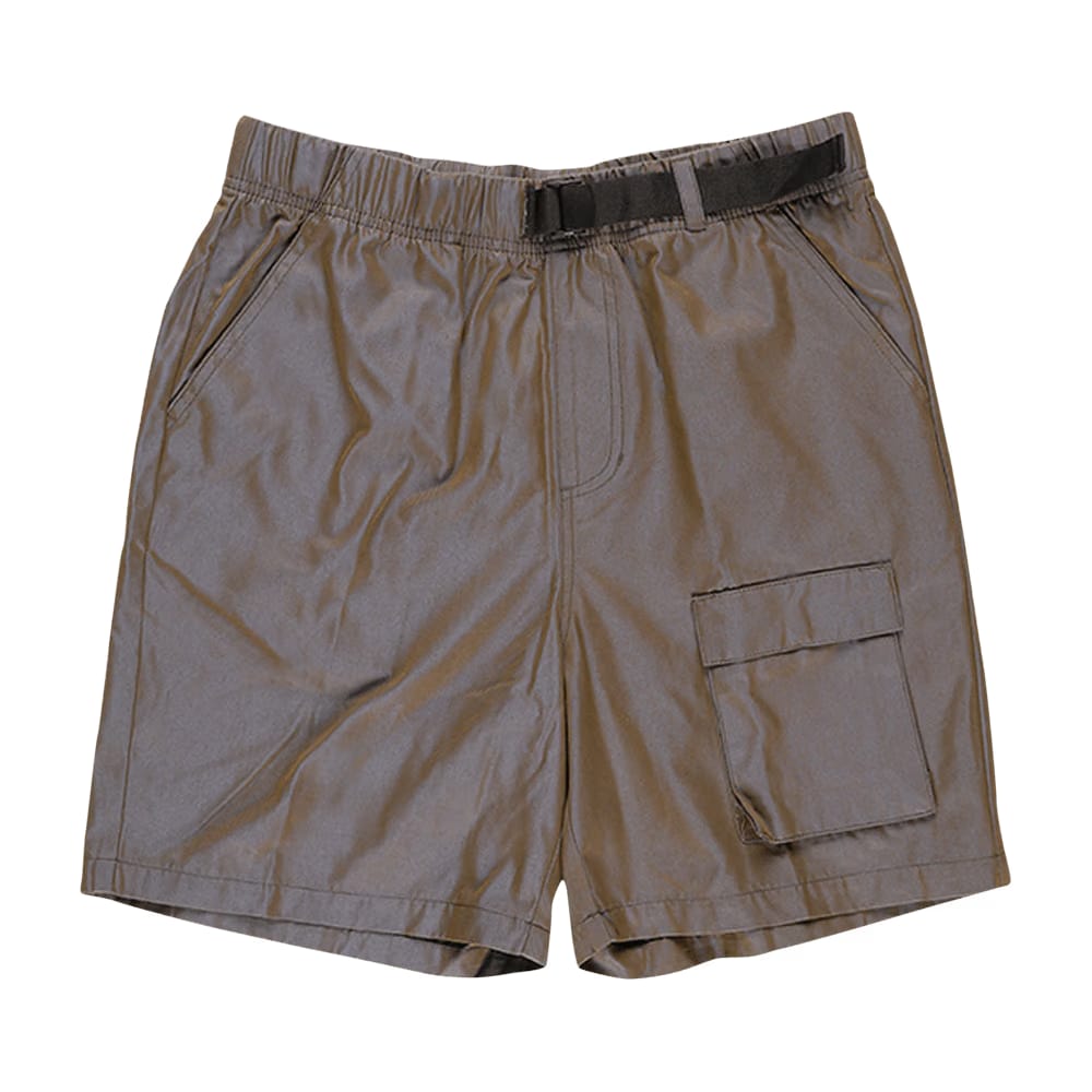 Stussy Iridescent Shorts Grey