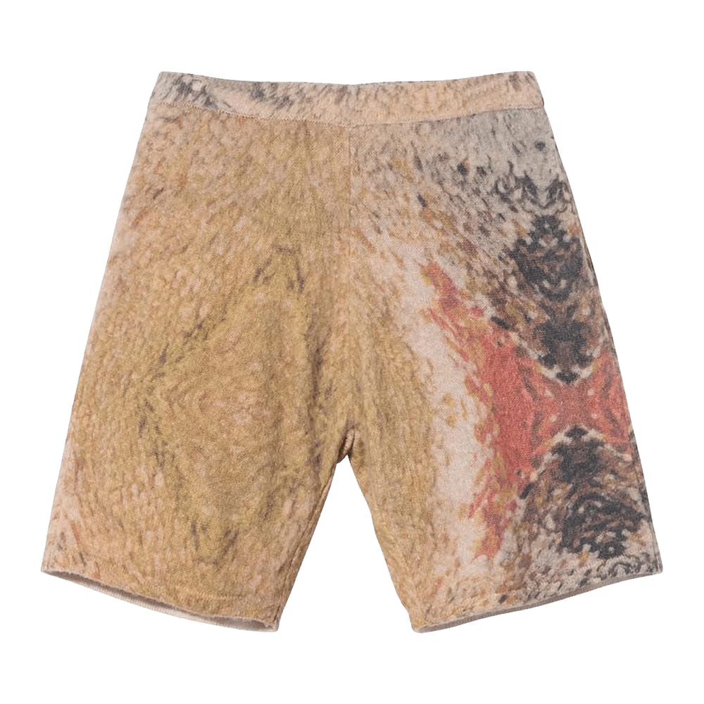 Stussy Wings Print Knit Shorts Multi