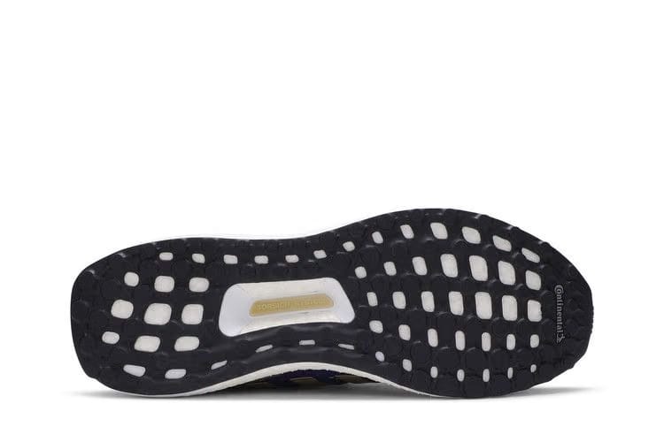 Adidas UltraBoost 1.0 Washington Huskies