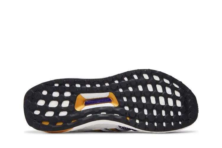 NCAA x adidas UltraBoost 1.0 Washington Huskies