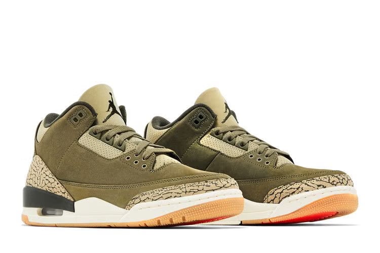 Air Jordan 3 Retro Family Affair