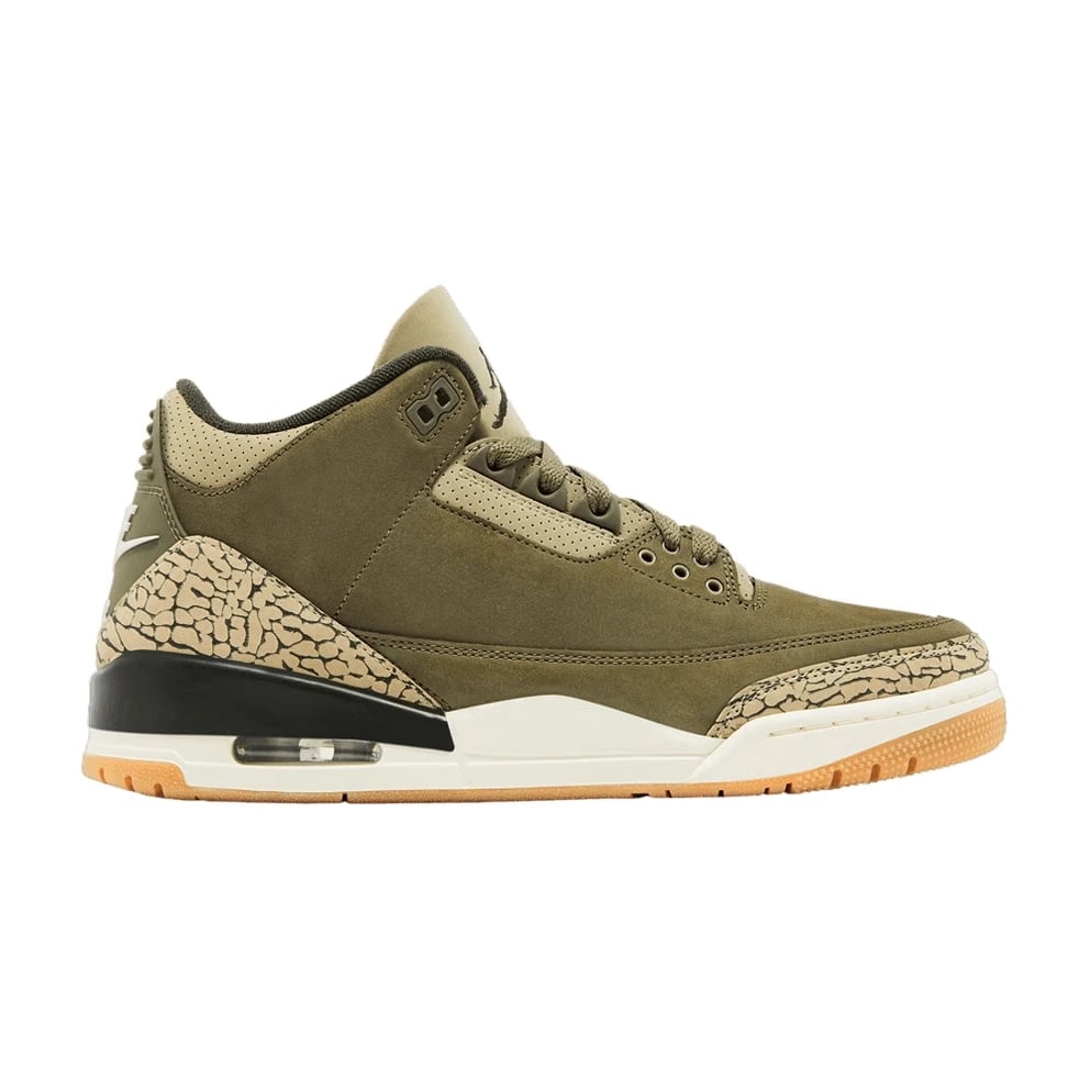 Air Jordan 3 Retro Family Affair