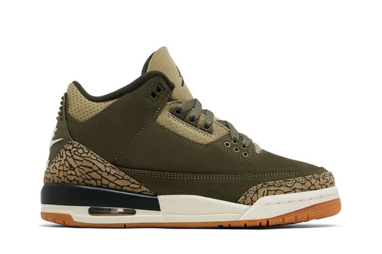 Air Jordan 3 Retro GS Family Affair