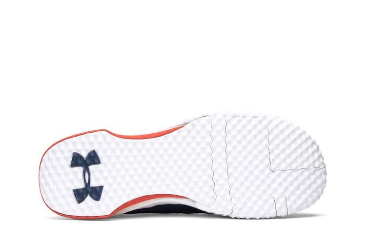 Under Armour Project Rock 1 Blue