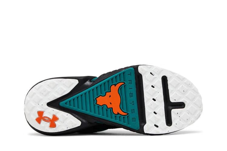 Under Armour Project Rock 5 305