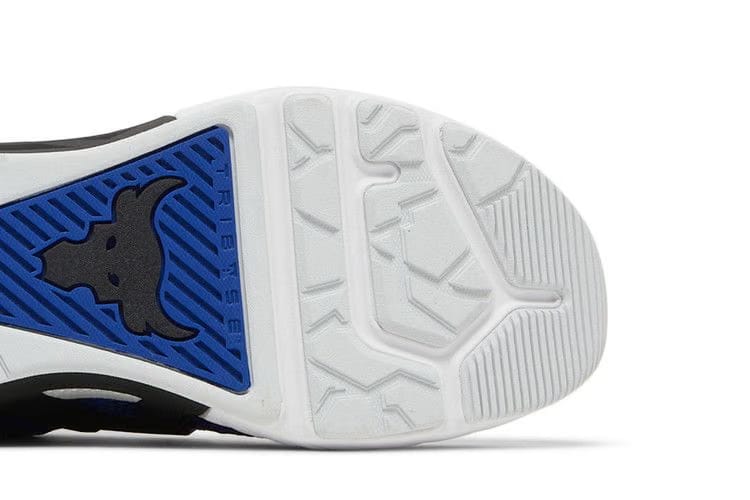 Under Armour Project Rock 4 Royal