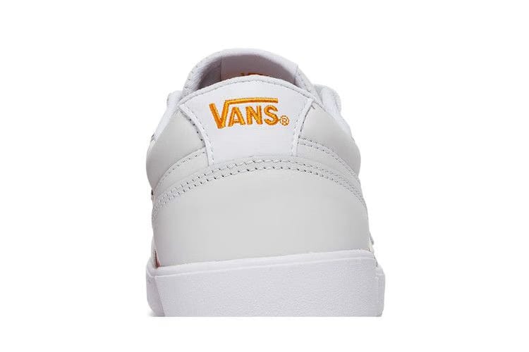 Vans Lowland CC Lenticular