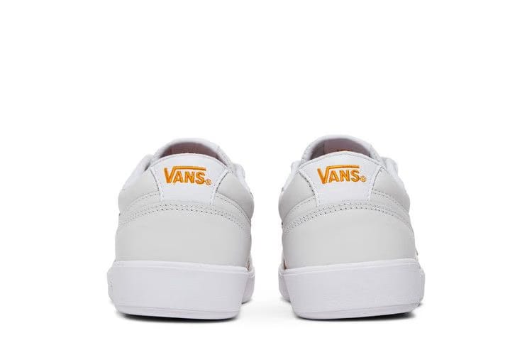 Vans Lowland CC Lenticular