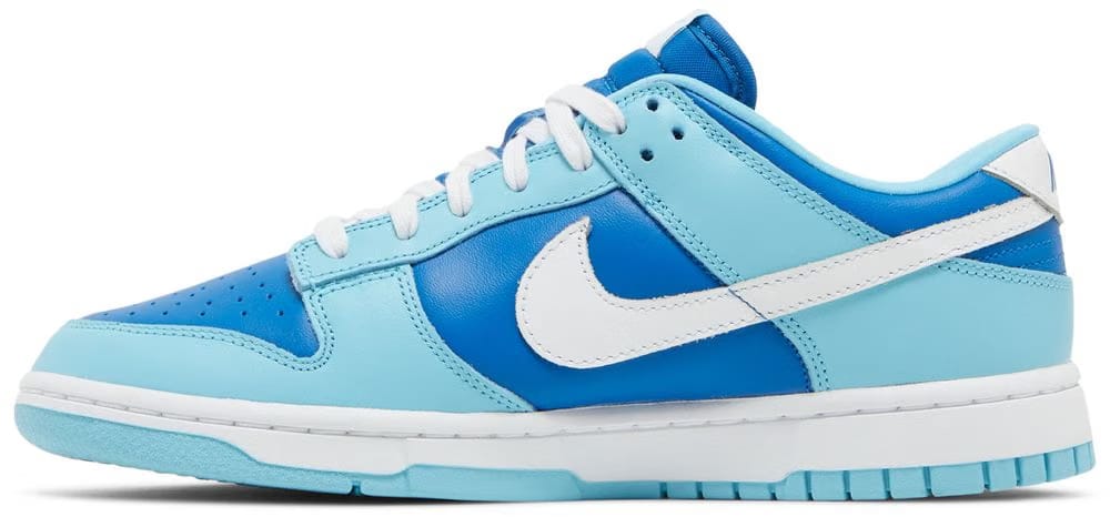 Nike Dunk Low Argon