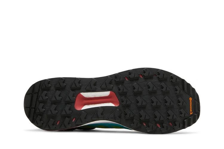 Adidas Terrex Free Hiker GTX Nothing Left Behind