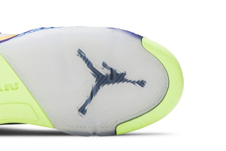 Air Jordan 5 Retro SE GS What The