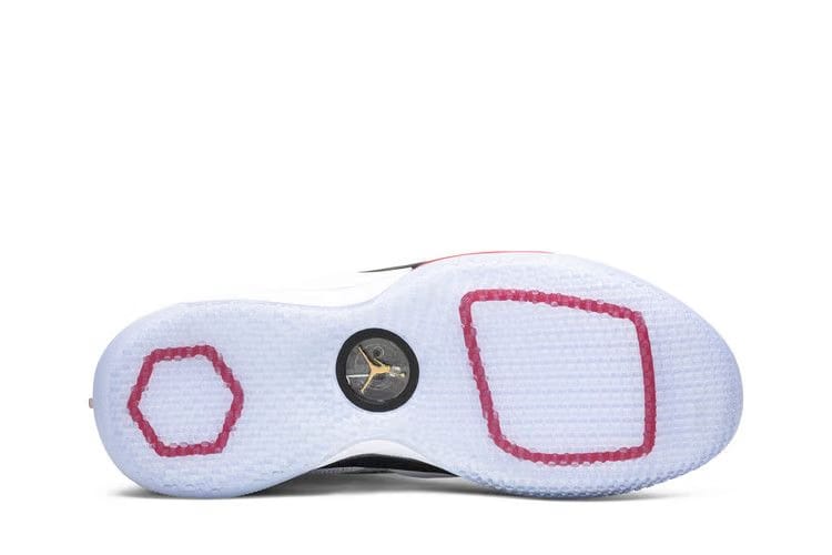 Air Jordan 33 Future of Flight