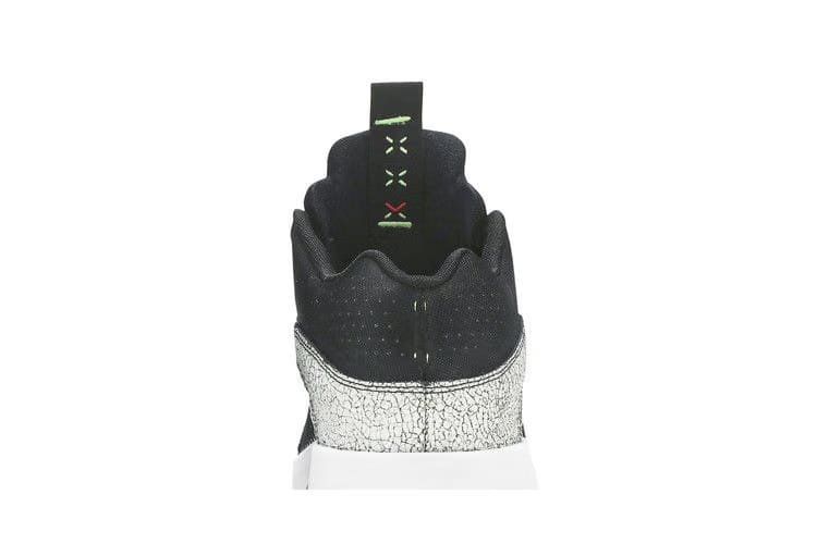 Zion Williamson x Air Jordan 35 Bayou Boys