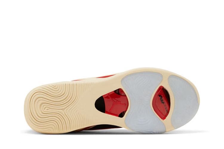 Air Jordan Tatum 1 Zoo