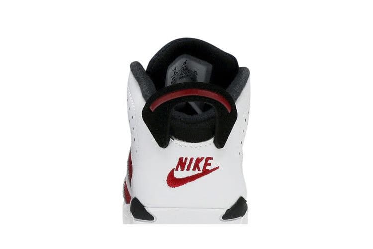 Air Jordan 6 Retro TD Carmine 2021