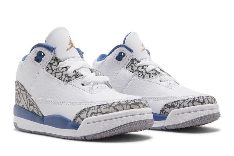 Air Jordan 3 Retro TD Washington Wizards