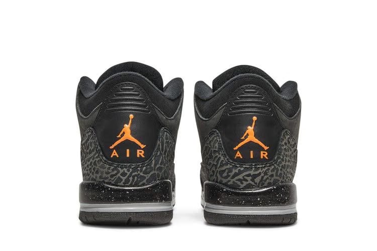 Air Jordan 3 Retro GS Fear