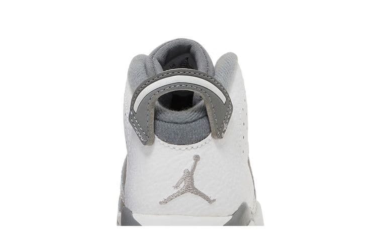 Air Jordan 6 Retro TD Cool Grey
