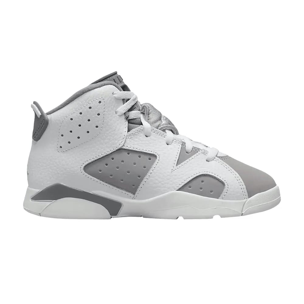 Air Jordan 6 Retro PS Cool Grey