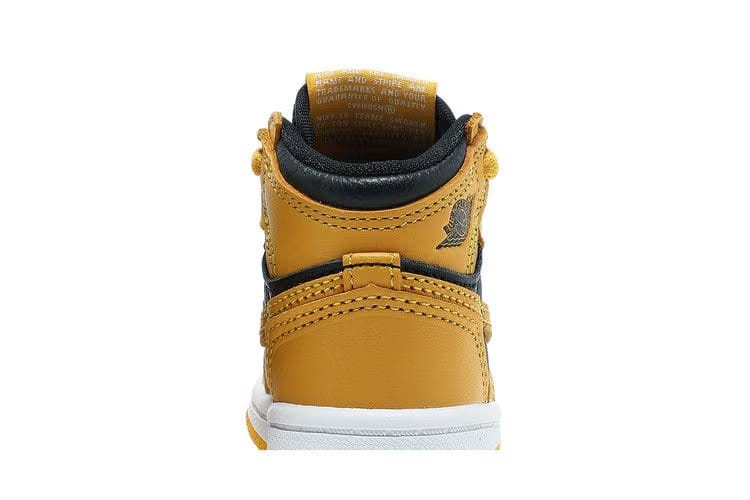 Air Jordan 1 Retro High OG TD Pollen