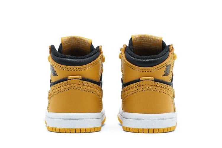 Air Jordan 1 Retro High OG TD Pollen