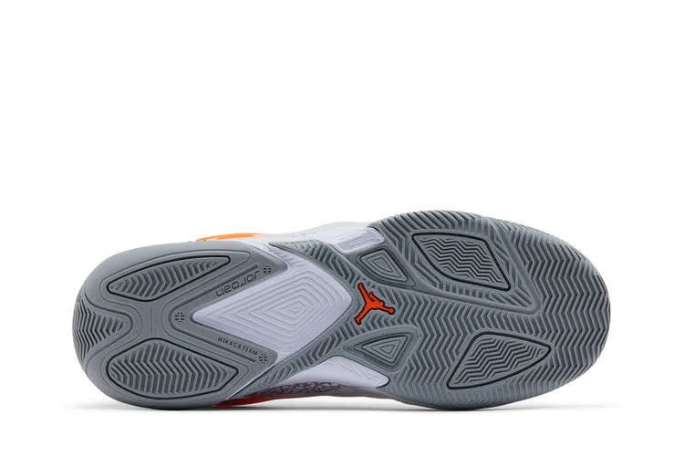 Air Jordan Heir Elephant Print