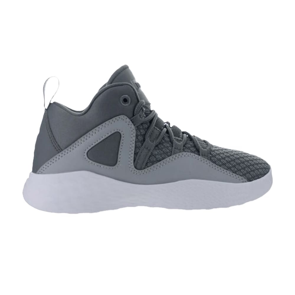 Air Jordan Formula 23 PS Cool Grey