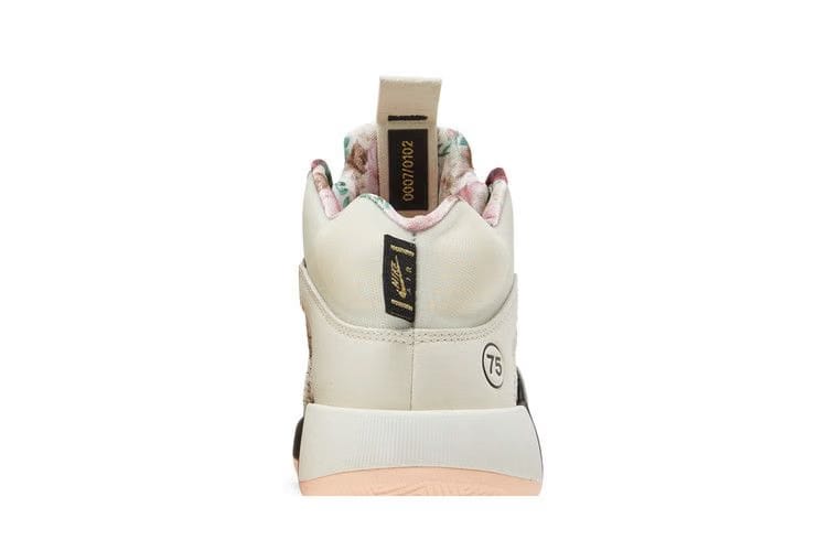 Air Jordan 35 Paris