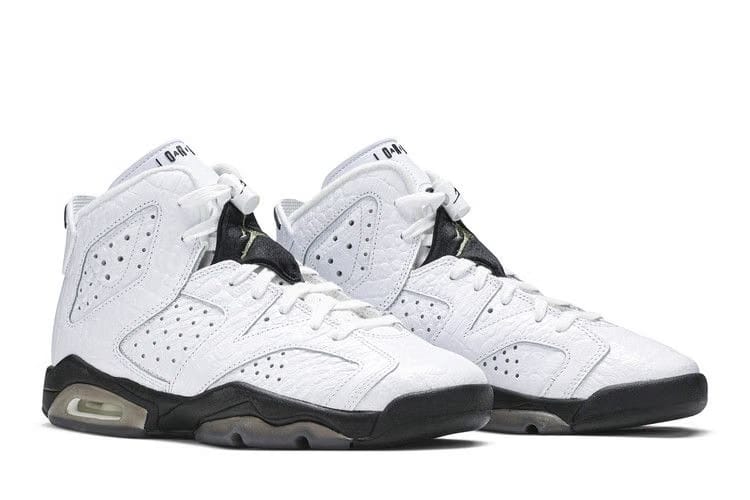 Air Jordan 6 Retro BG Alligator