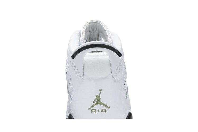 Air Jordan 6 Retro BG Alligator