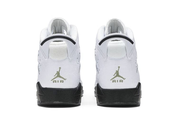 Air Jordan 6 Retro BG Alligator