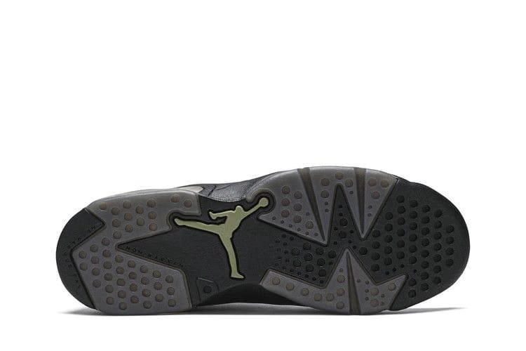 Air Jordan 6 Retro BG Alligator