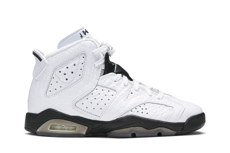 Air Jordan 6 Retro BG Alligator