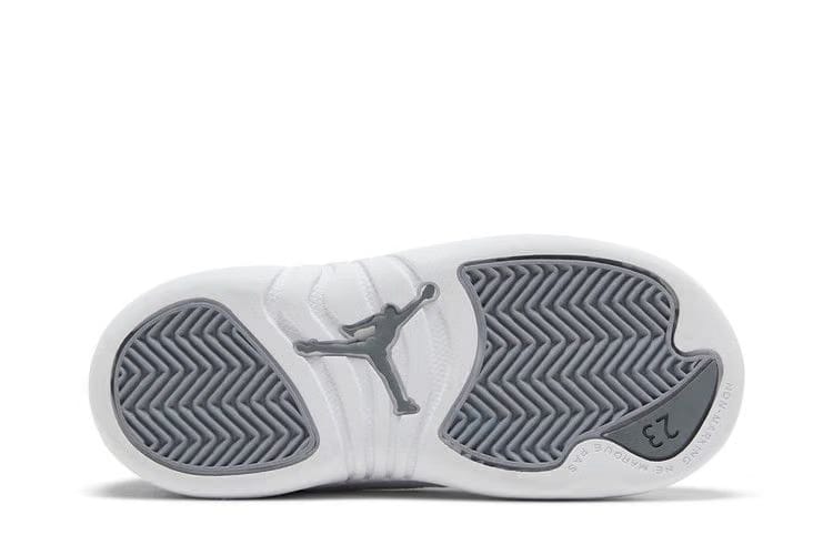 Air Jordan 12 Retro TD Stealth