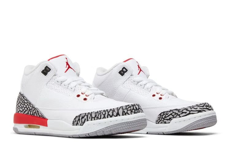 Sneaker Politics x Air Jordan 3 Retro GS Hall of Fame