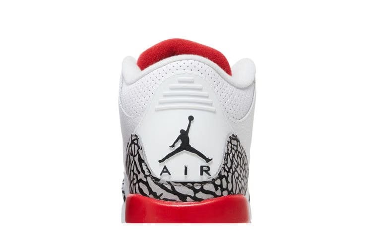 Sneaker Politics x Air Jordan 3 Retro GS Hall of Fame