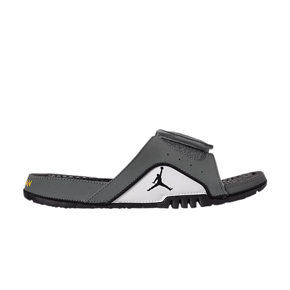 Air Jordan Hydro 4 Retro Cool Grey