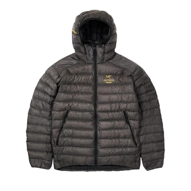Palace x Arc'Teryx Cerium LT Hoodie Grey