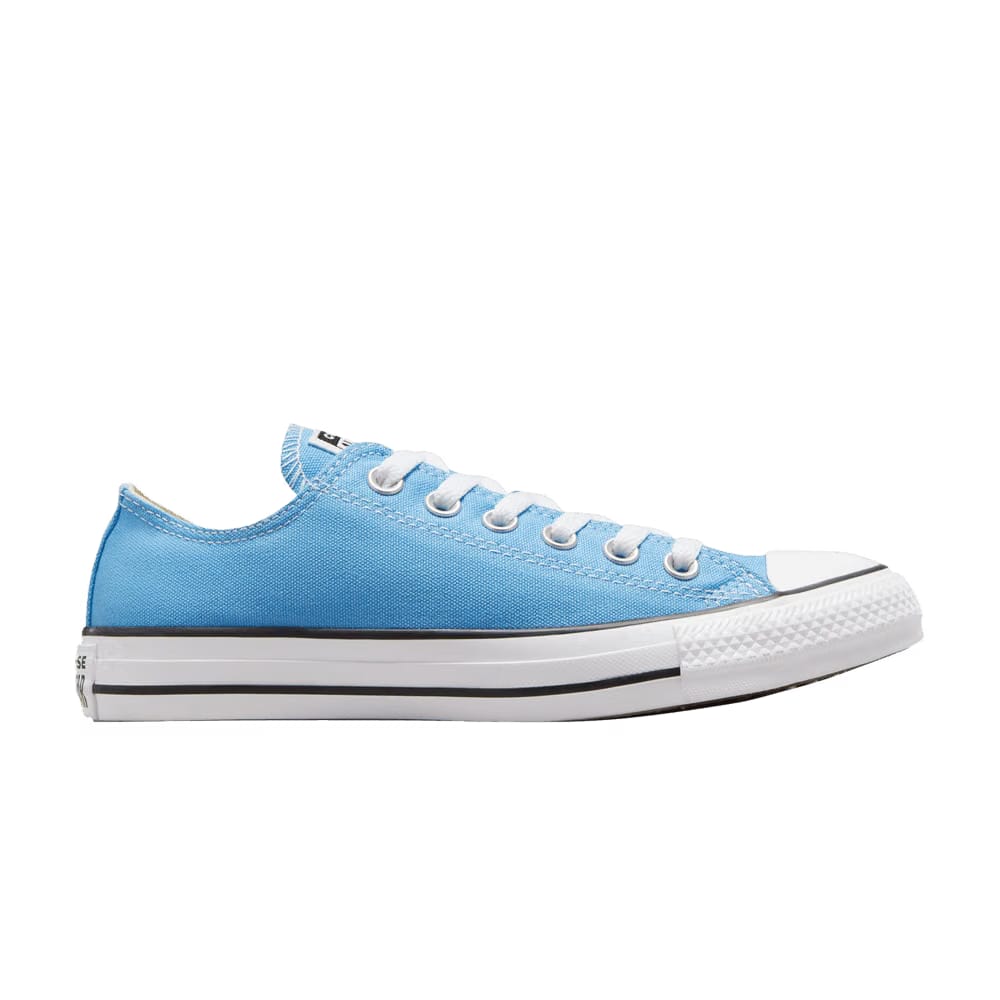 Converse Chuck Taylor All Star Low Light Blue