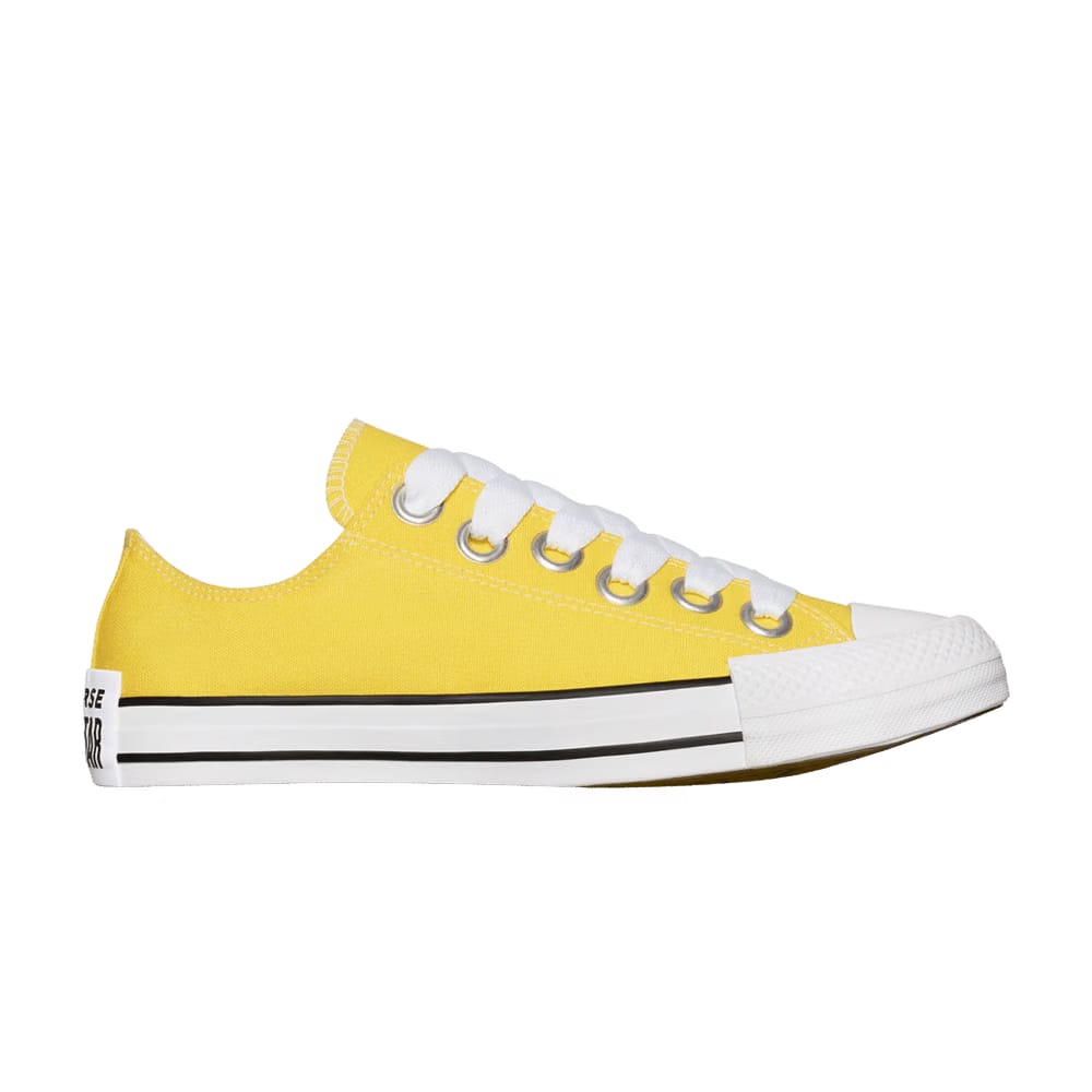Converse Chuck Taylor All Star Low Sketch - Golden Wren