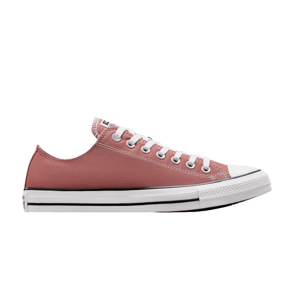 Converse Chuck Taylor All Star Low Light Saddle