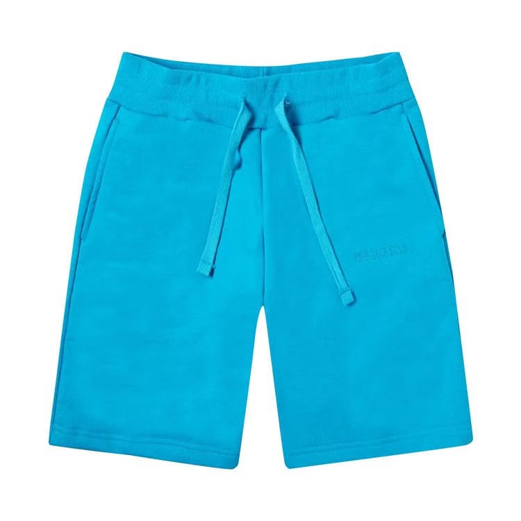 Aimé Leon Dore TERRY Shorts Blue