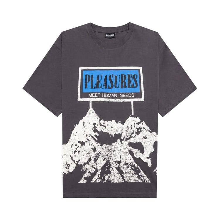 Pleasures Human Needs Heavyweight Shirt Grey
