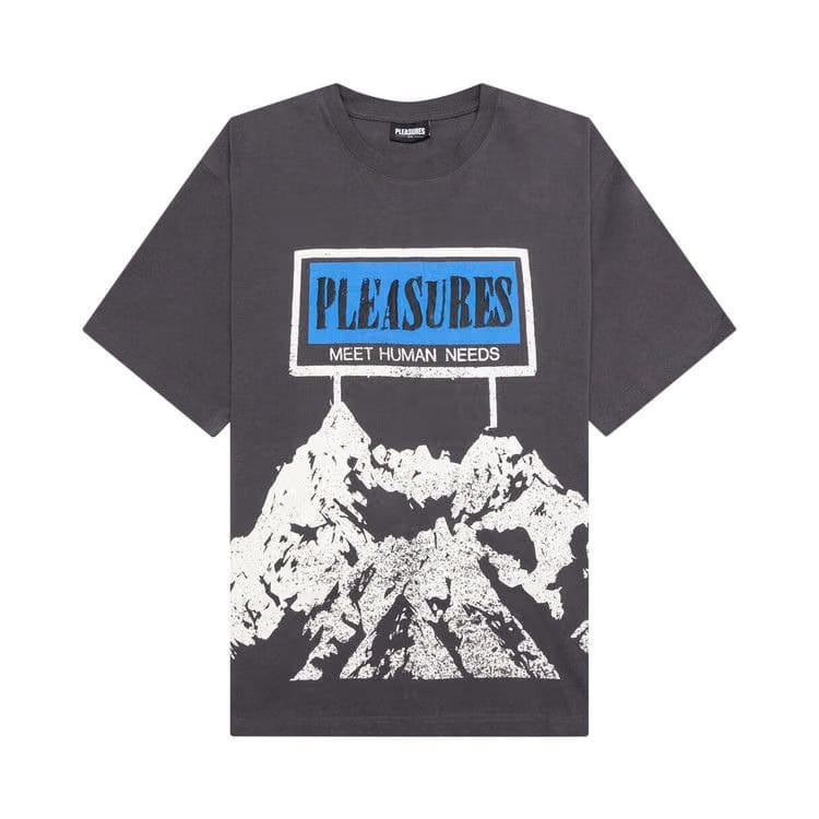 Pleasures Human Needs Heavyweight Shirt Charcoal Grey
