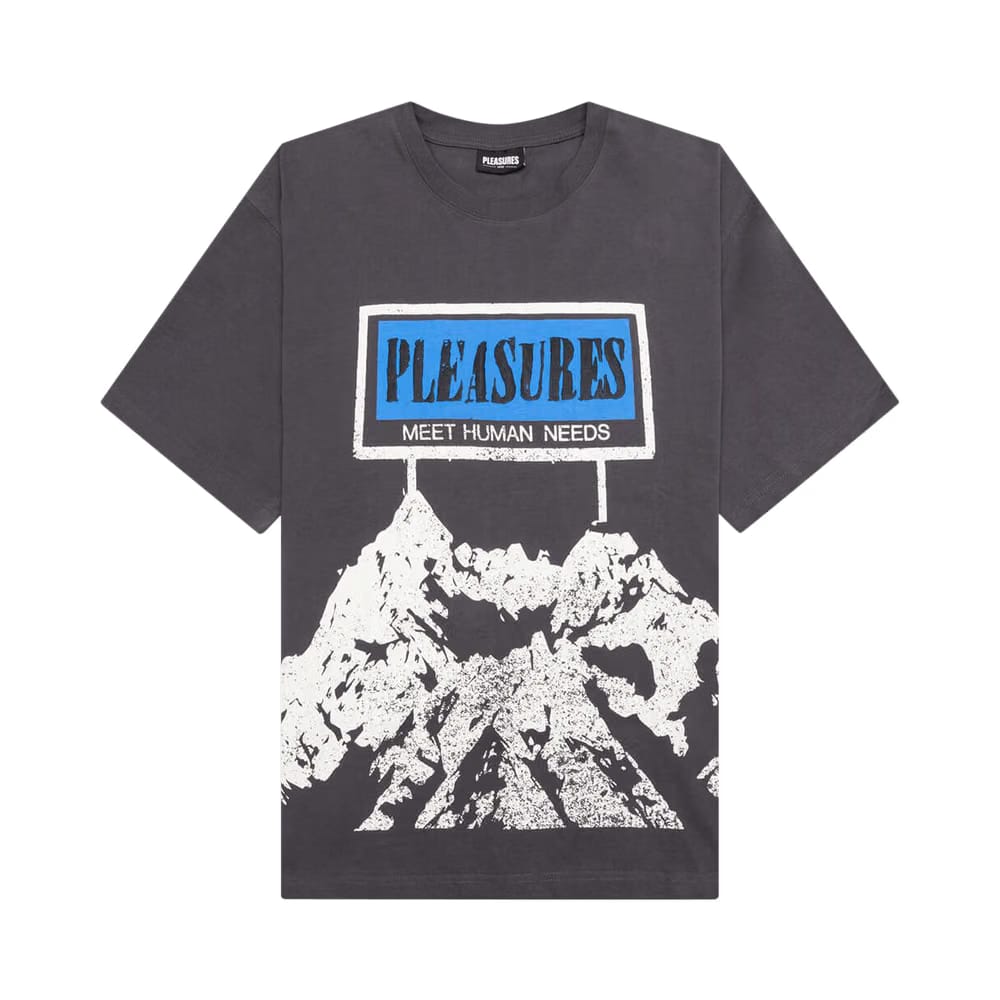 Pleasures Human Needs Heavyweight Shirt Charcoal Grey