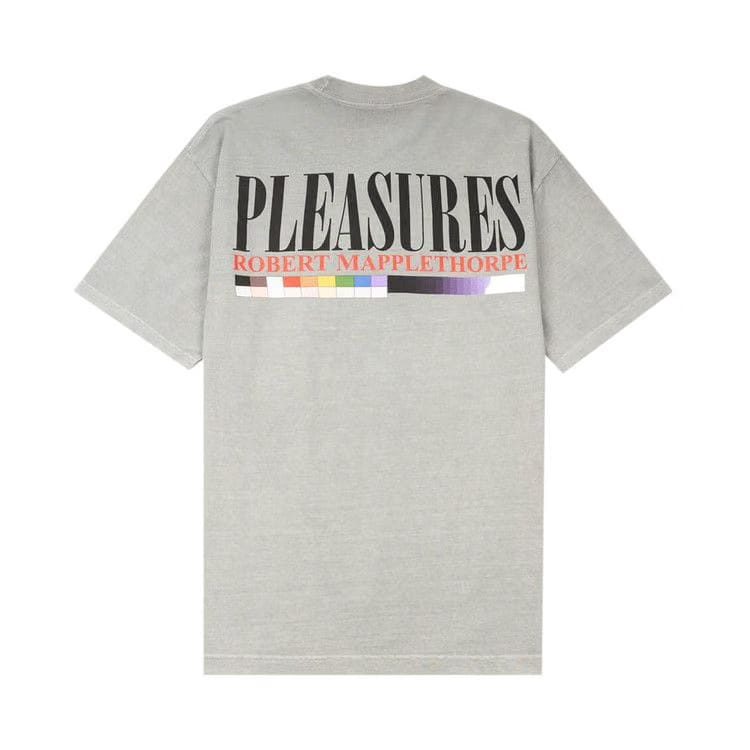 Pleasures Cross T-Shirt Grey