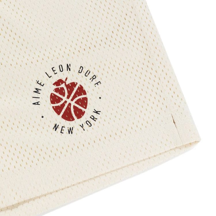 Aimé Leon Dore x New Balance Gym Shorts Pristine