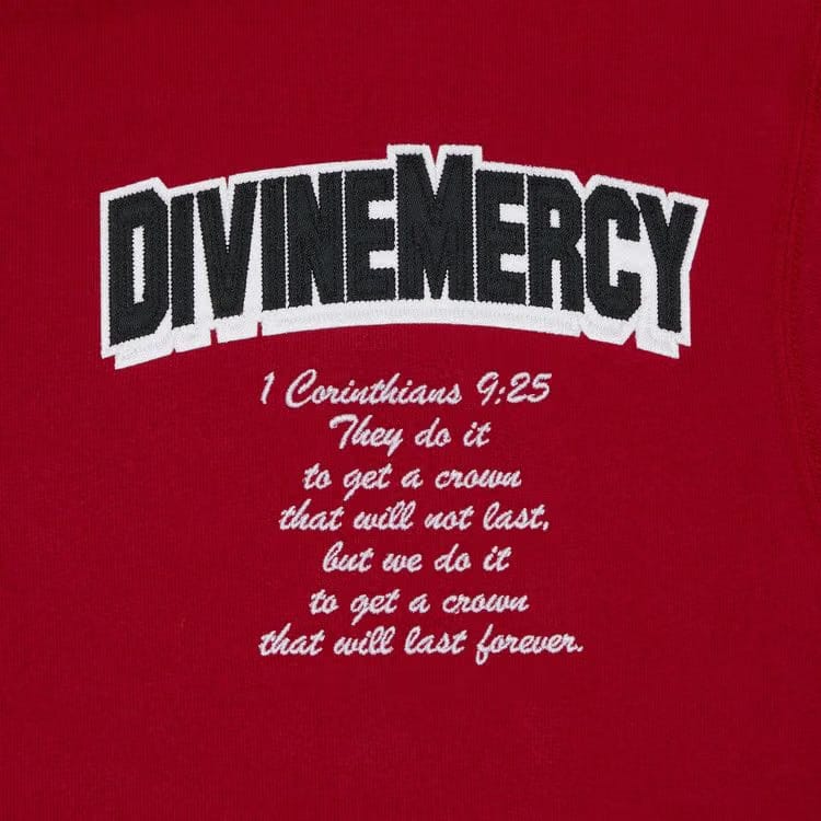 Supreme Salvation Zip Up Hoodie Red