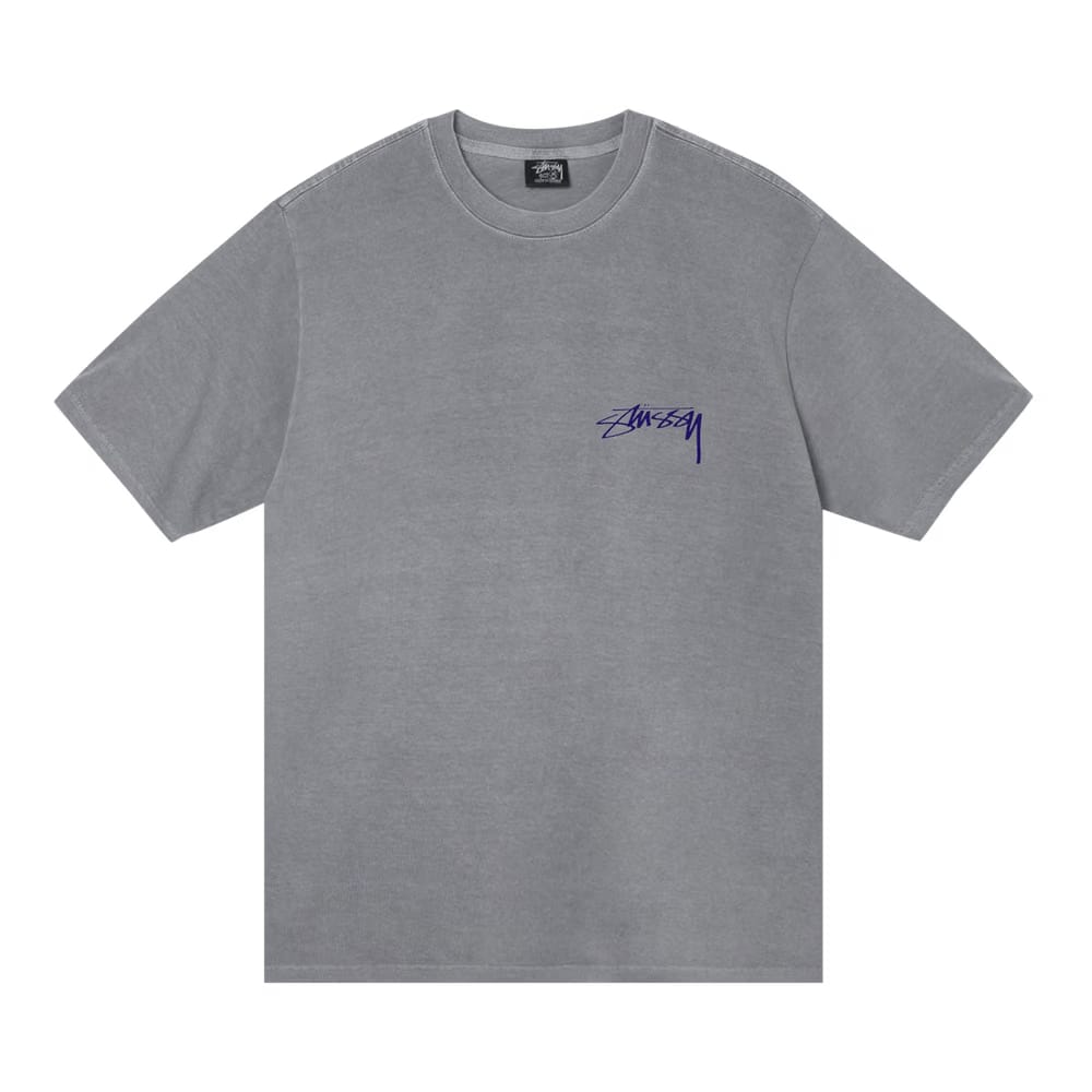 Stussy Arachnid Pigment Dyed T-Shirt Grey