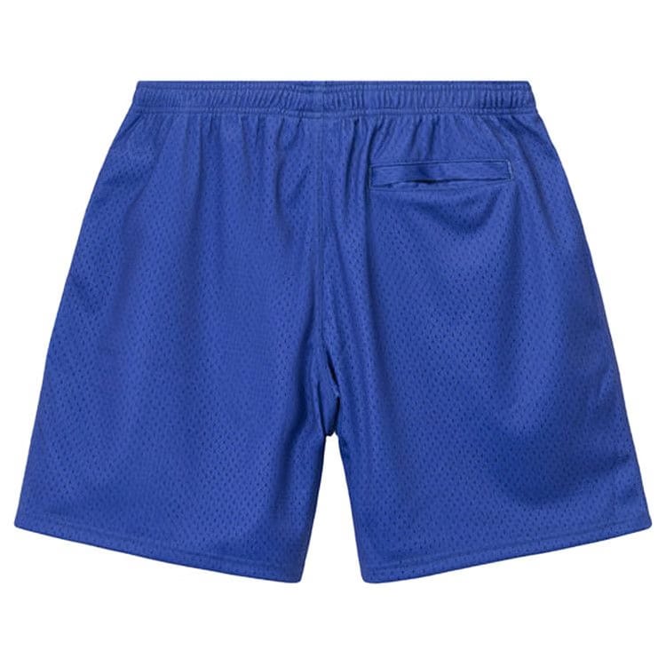 Stussy Arch Mesh Shorts Purple